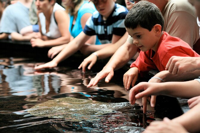 Entrance Ticket Nausicaa, the biggest aquarium in Europe - Price and value: is $36.01 a fair deal?