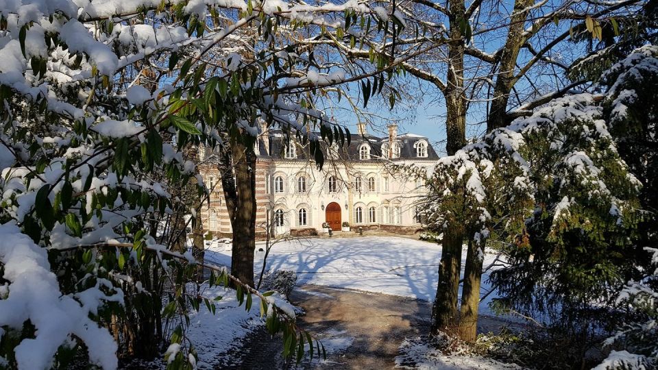 Epernay: Winery and Cellar Tour with Champagne Tasting - English-hosted pacing and group dynamics