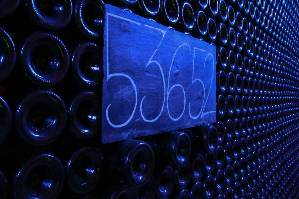 Epernay: Winery and Cellar Tour with Champagne Tasting - Who this tour suits best (and who should skip it)
