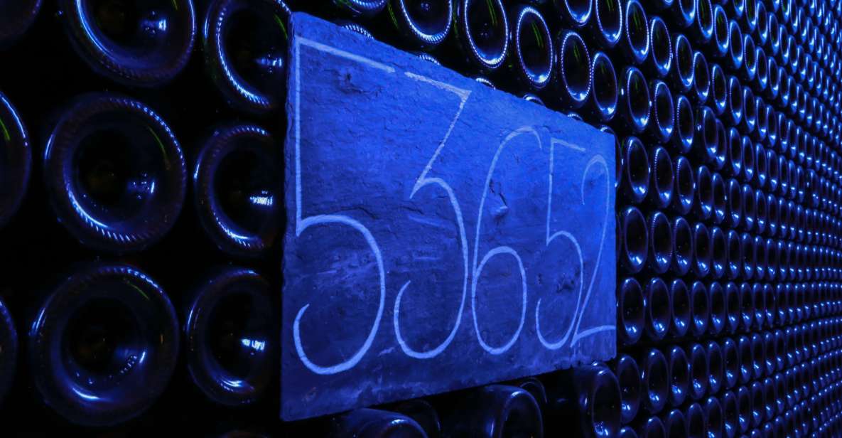 Epernay: Winery and Cellar Tour with Champagne Tasting - Should you book the Epernay family Champagne cellar tour?