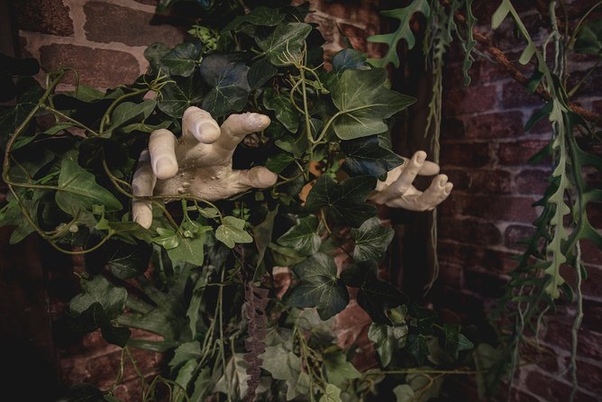 Escape Hunt Paris, Escape Game - Who this escape game is best for (and who should think twice)