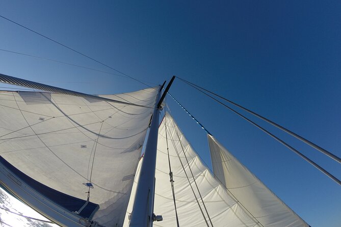 Evasion at sea, private experience for your tribe. Morning - How the mixed feedback affects your decision