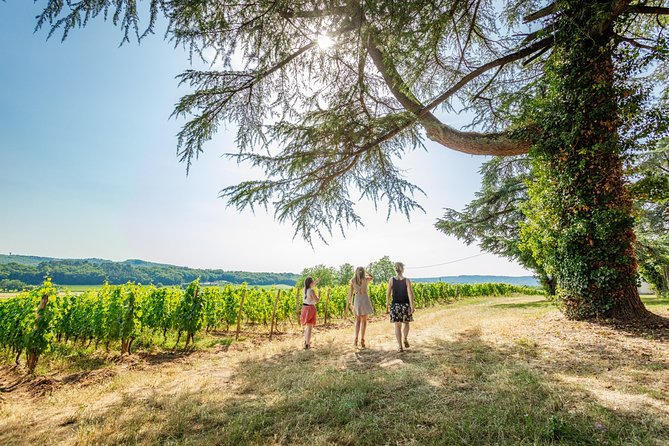 Exceptional visit and tasting of 7 wines - Walking the vineyards and learning the terroirs