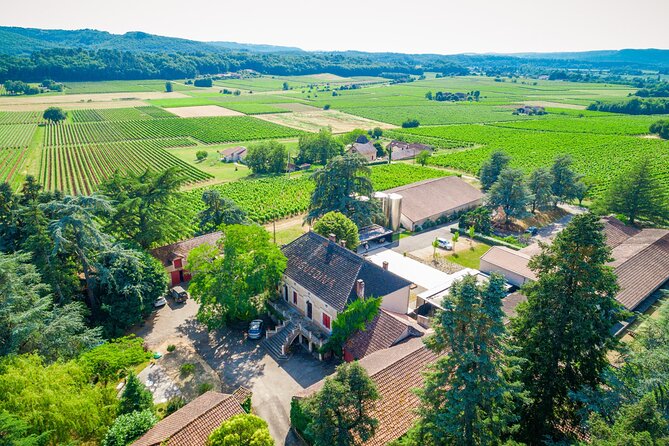 Exceptional visit and tasting of 7 wines - Seeing the winemaking and aging cellar