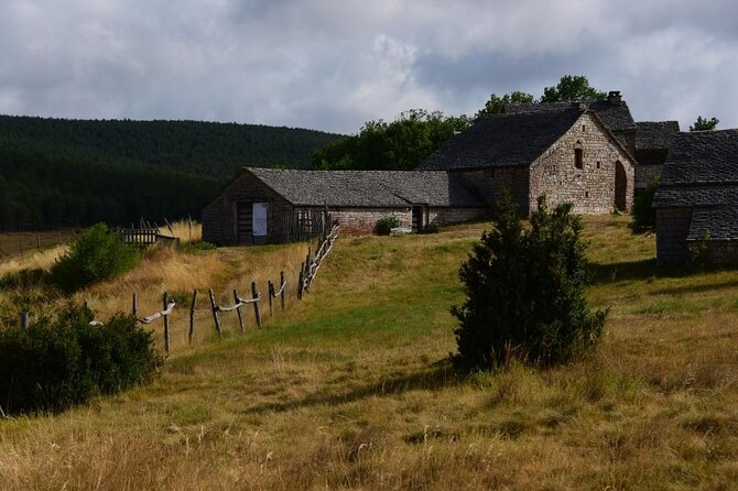 Excursion Gorges du Tarn and Causses in the morning - Practical details that affect your morning