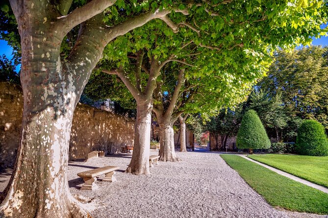 Explore Aix-en-Provence in 60 minutes with a Local - Key points to know before booking