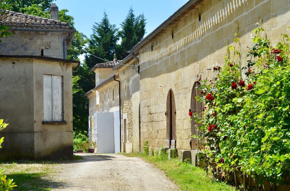 Explore Saint-Émilion on e-Bikes: Small Group, half-Day Tour - Passing Château Angélus and Château Ausone