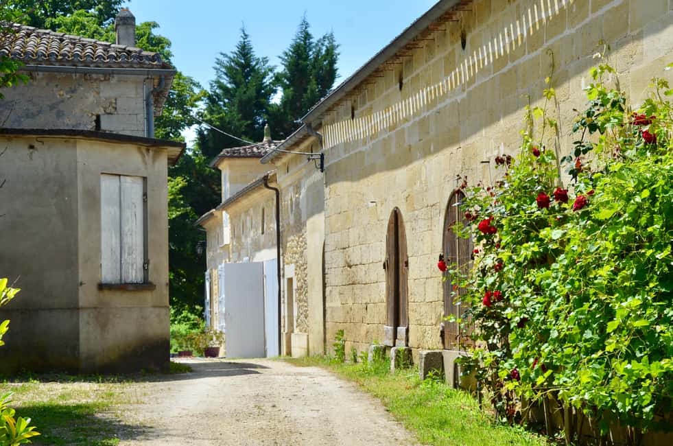 Explore Saint-Émilion on e-Bikes: Small Group, half-Day Tour - The second ride through the vineyards
