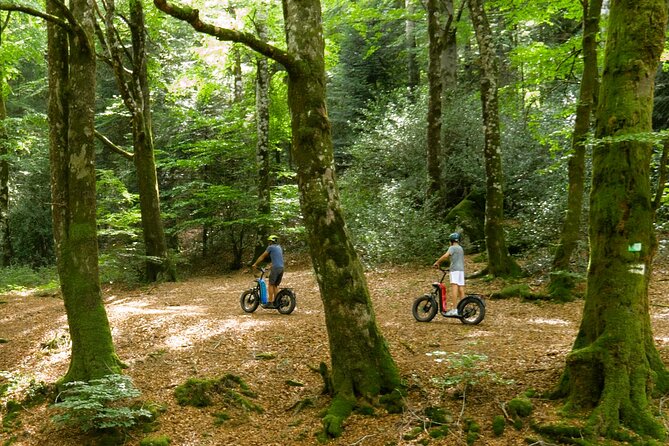 Explore the forests of Haut Languedoc on an electric scooter - Setting out from Le Moulinet in Haut Languedoc