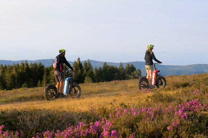 Explore the forests of Haut Languedoc on an electric scooter - A private outing with a personal feel