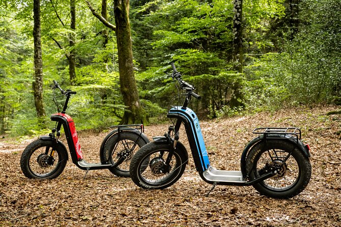 Explore the forests of Haut Languedoc on an electric scooter - Booking details that matter