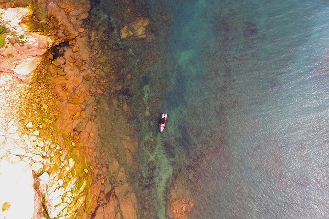Explore the Wild Beauty of the Basque Coast by Boat - The optional Jaizkibel swim stop (about 15 minutes)