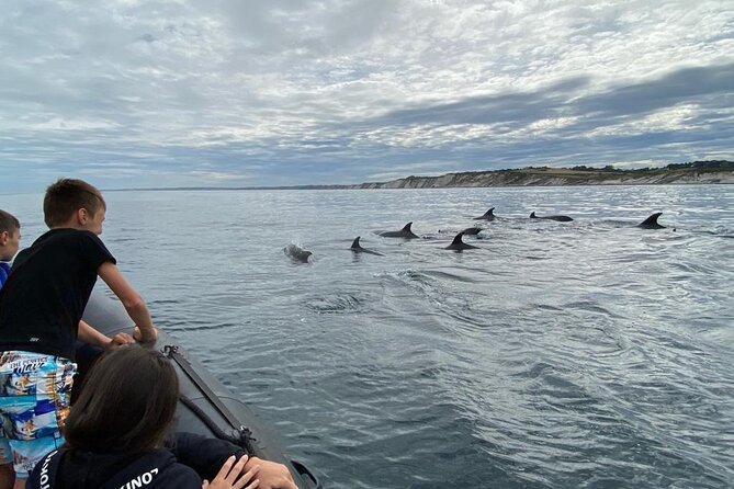 Explore the Wild Beauty of the Basque Coast by Boat - Boat ride comfort: small group, fresh feel