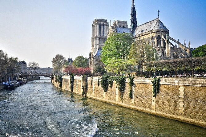 Fall In Love With Paris: Private Half-Day Highlights Tour - Champs-Élysées and the business of grand Paris