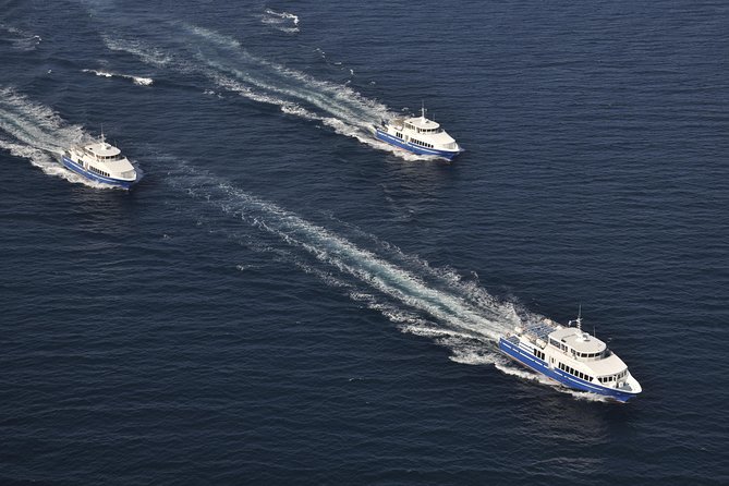 Ferry from Cannes to St Tropez - Price and Value: Is This Ferry Worth $104.60?