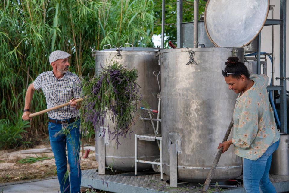 Flowers picking and essential oil distillation workshop - Key points at a glance