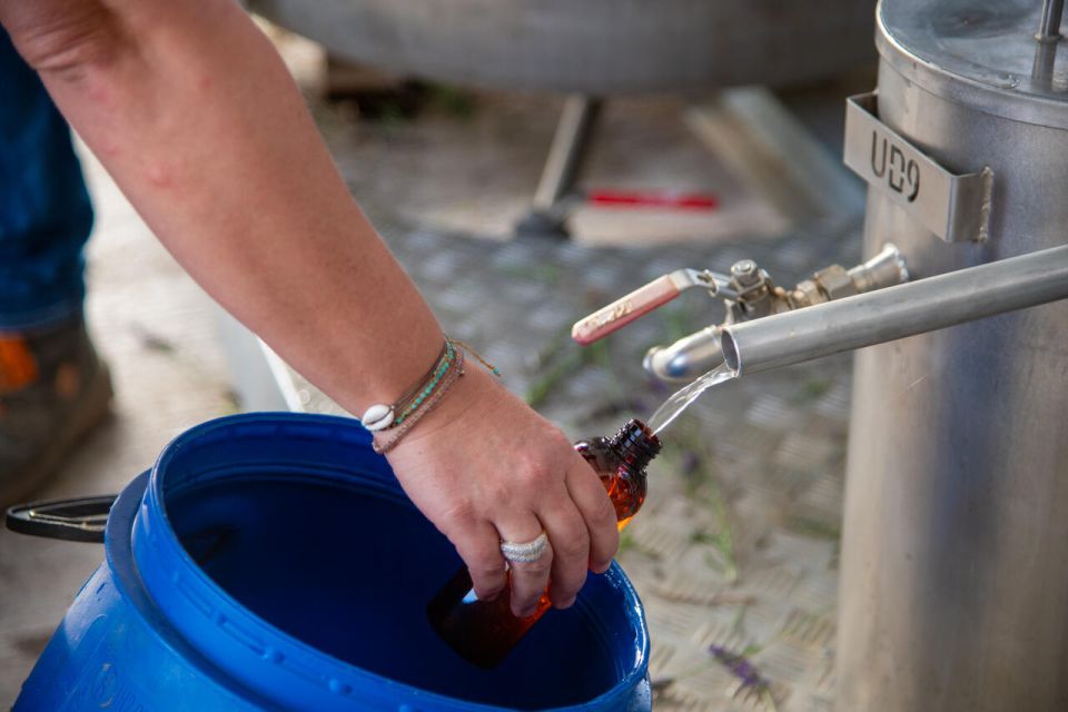 Flowers picking and essential oil distillation workshop - Should you book the lavender workshop?