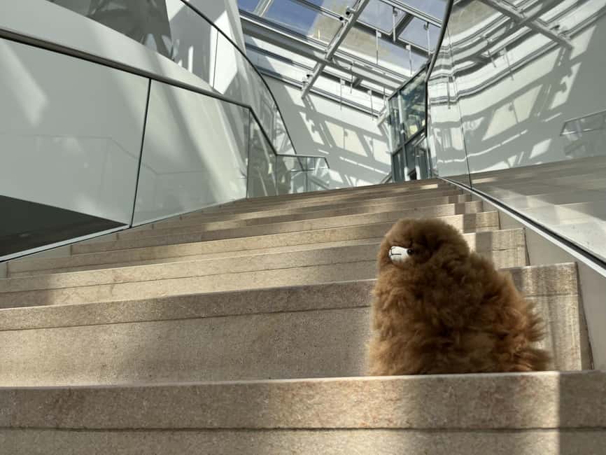 Fondation Louis Vuitton: Ticket Entry & Private Tour - Why the Fondation Louis Vuitton is worth your time