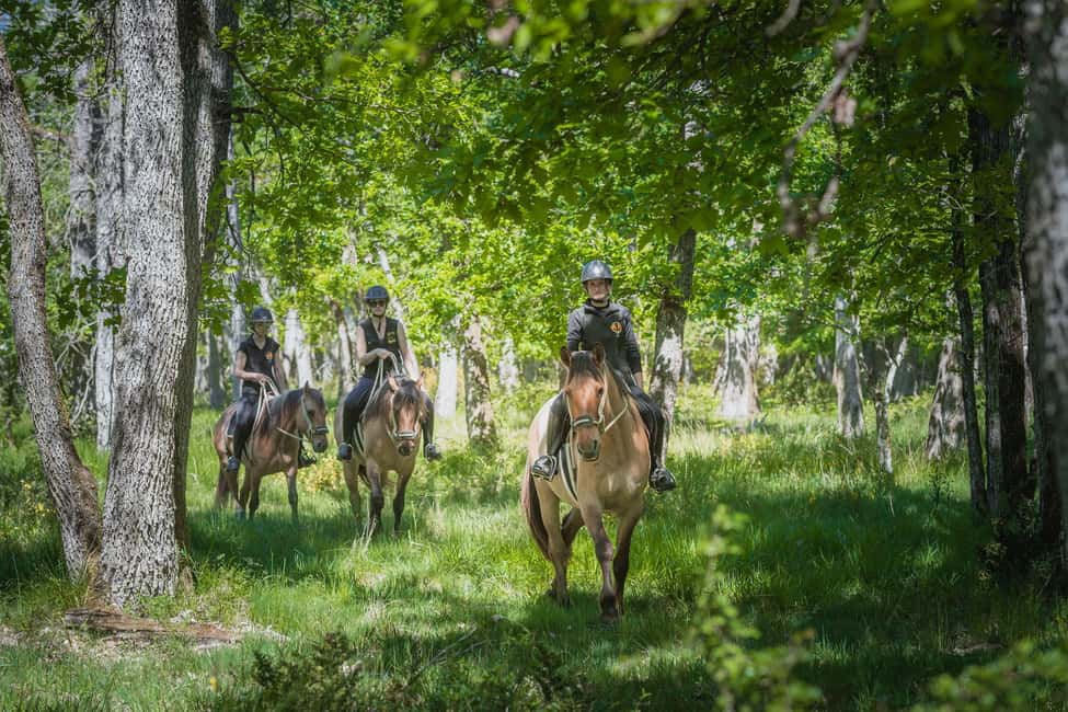 Fontainebleau : Horse-riding, Gastronomy & Château - A three-course French lunch with wine in Barbizon