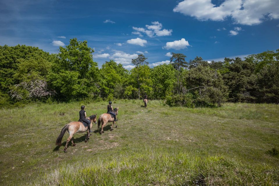 Fontainebleau : Horse-riding, Gastronomy & Château - Horseback through the former royal hunting grounds