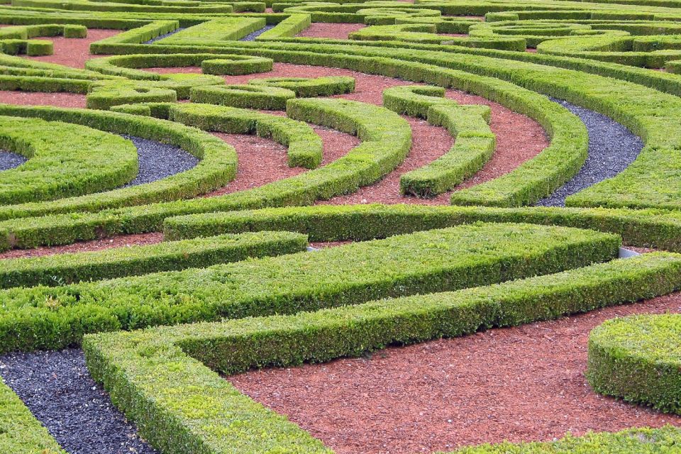 Fontainebleau & Vaux-le-Vicomte Châteaux Day Tour from Paris - Lunch at Vaux-le-Vicomte: simple options, plus timing pressure