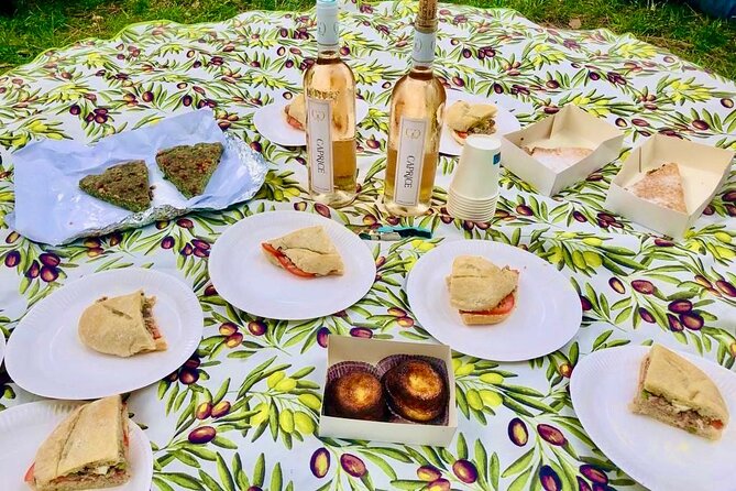 Food & Wine Lovers Tour of Nice Local Markets and Best Shops - The Castle Hill climb ends in a real picnic