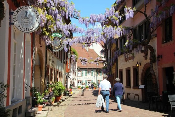 France, Germany and Switzerland Full Day Tour from Colmar - Transport comfort and timing: the minivan matters