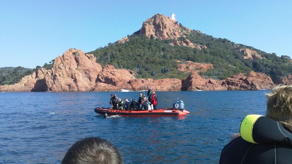 Fréjus: Diving Experience in Port-Fréjus with an Instructor - Timing, waiting, and the reality of short in-water sessions
