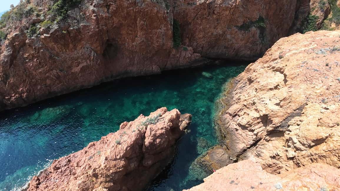 Fréjus : Esterel Calanques Cruise (Comfort Boat) + Swim Stop - Where the boat starts: Port Fréjus and the right mindset