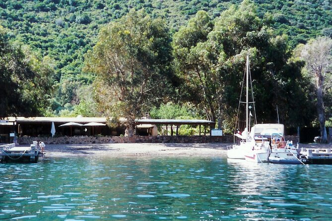 Friendly discovery of Scandola Calanques de Piana and meal stop at Girolata - Boat day details: restroom onboard, group size, and choosing your view