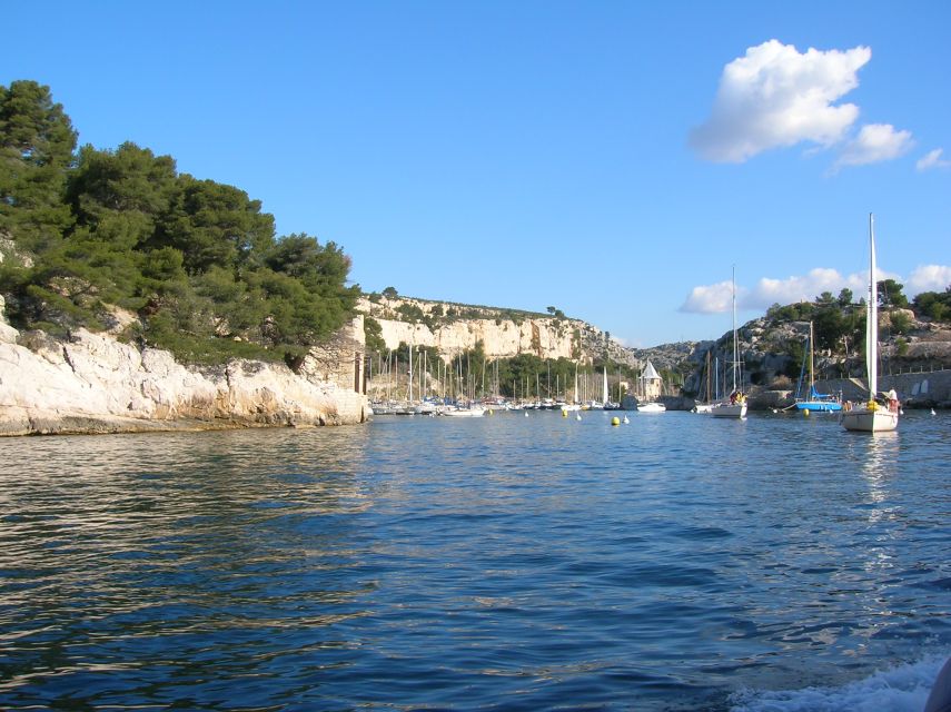 From Aix: Cassis Boat Ride & Provence Wine Tasting Day Tour - Wine tasting in the Cassis area: what to expect from the vineyards stop