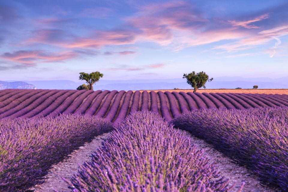 From Aix: Day Trip to Valensole Lavender Fields in Provence - Getting to the Valensole Plateau from Aix in about 3.5 hours