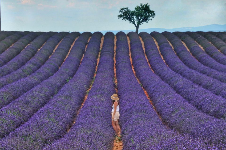 From Aix: Day Trip to Valensole Lavender Fields in Provence - Plateau de Valensole break time: the part you’ll actually remember