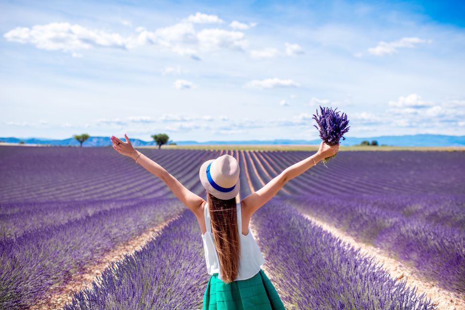 From Aix: Day Trip to Valensole Lavender Fields in Provence - Who this tour suits best (and who should skip it)