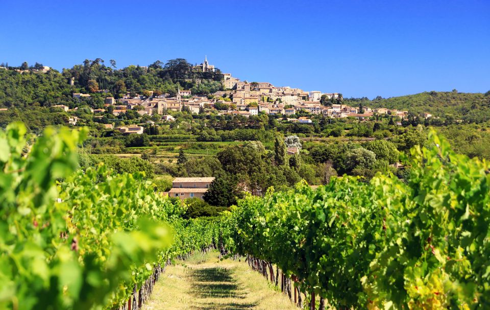 From Aix-en-Provence: Half-Day Wine Tour - Two Family Estates, Three Styles of Provence Wine