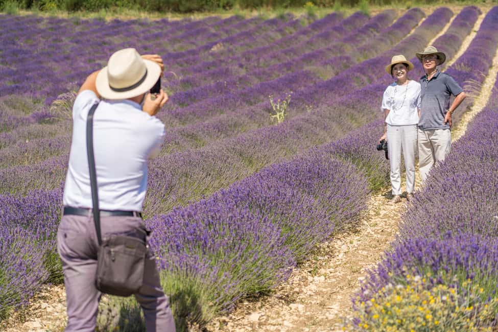 From Aix-en-Provence: Lavender Half Day Tour - Price and Value: Is $106 for a Half-Day Actually Fair?