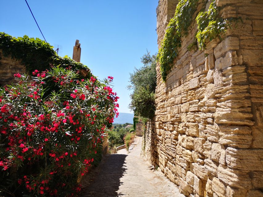 From Aix en Provence: Luberon Villages Full-Day Guided Tour - Who this tour is perfect for (and who should skip it)