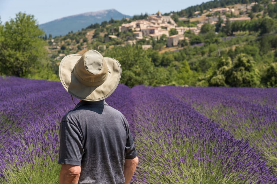 From Aix-en-Provence: Sault Lavender & Gordes Full-Day Tour - Valensole Plateau Photo Stops: Where Timing and Light Matter