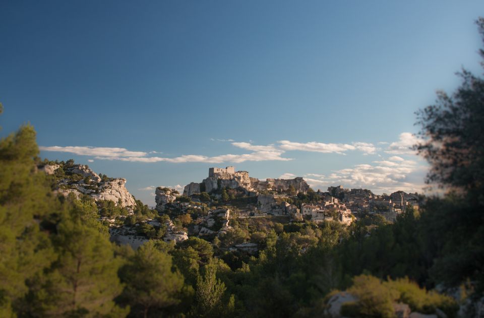 From Arles: Alpilles Regional Park Provence 4x4 Safari - Riding the Alpilles: Roman Ruins, Vines, and Olive Trees from a 4x4