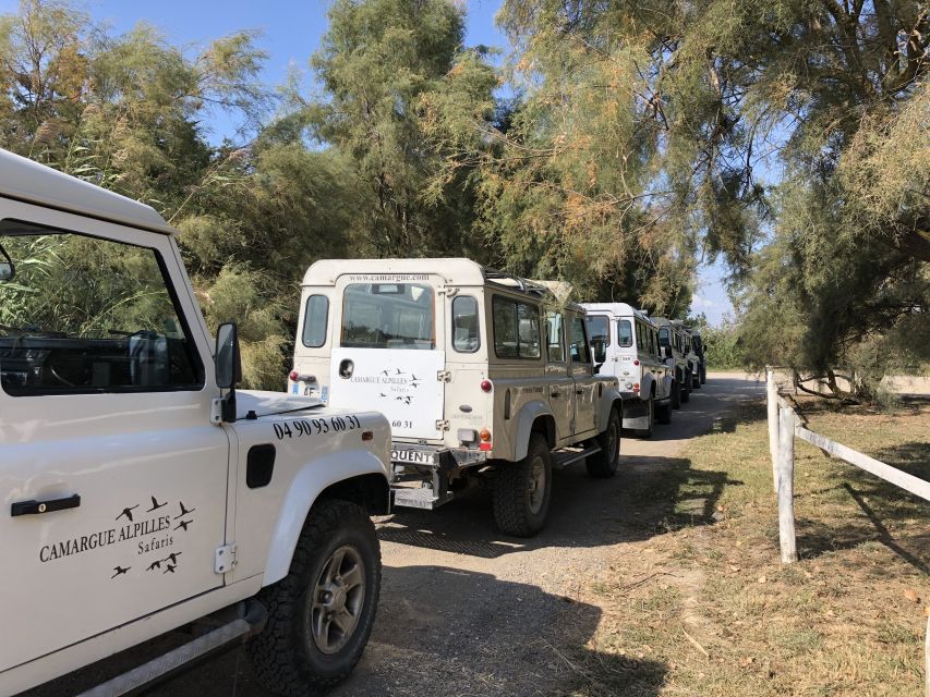 From Arles: Half-Day 4x4 Camargue Safari - Key things you’ll notice right away