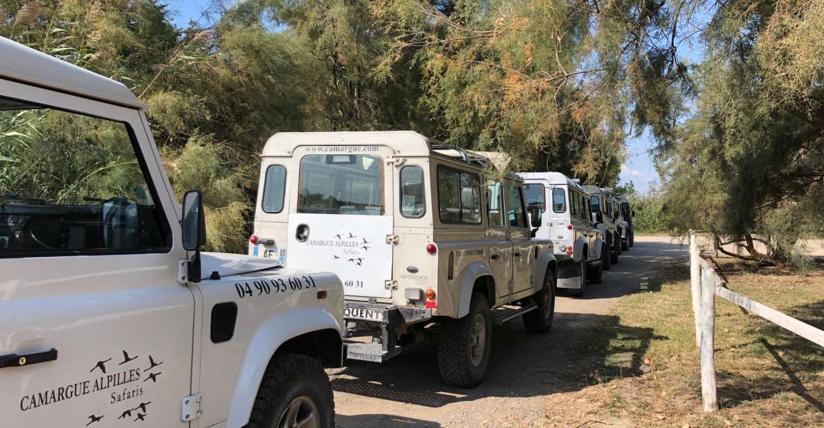From Arles: Half-Day 4x4 Camargue Safari - Starting from Arles and getting into the Rhône Delta rhythm