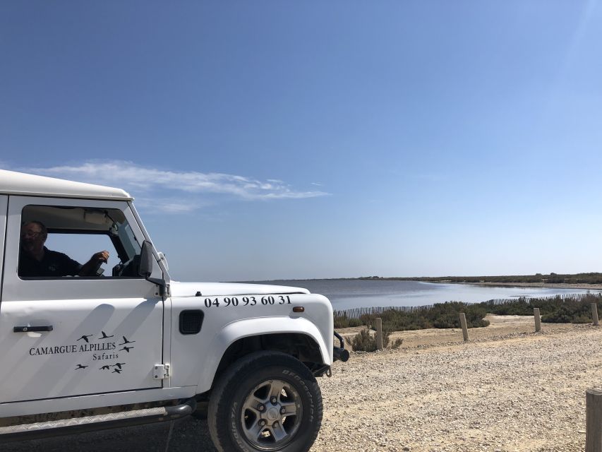 From Arles: Half-Day 4x4 Camargue Safari - What’s included, and how to plan your day around it