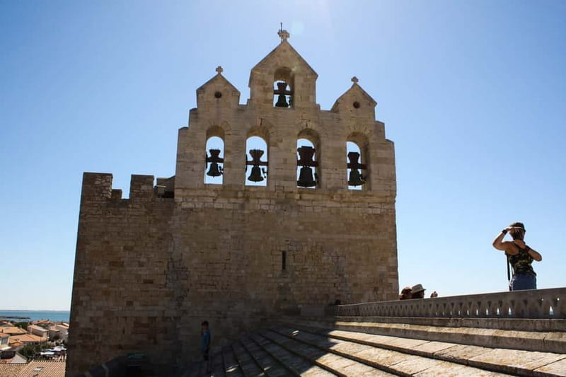 From Avignon: Camargue Tour with Bird Park Entry - Price and Logistics: Is $141 Good Value?