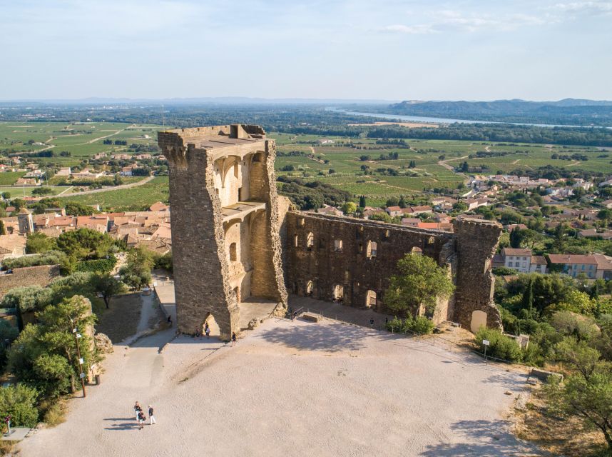 From Avignon: Châteauneuf du Pape Half-Day Wine Tour - Second Winery Hour: Compare Styles Without the Full-Day Commitment