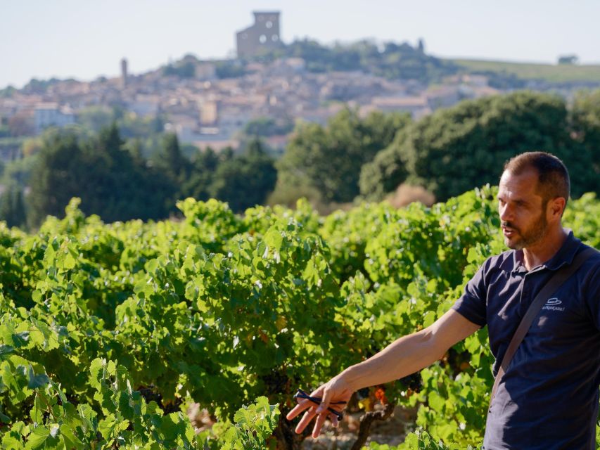 From Avignon: Châteauneuf du Pape Half-Day Wine Tour - What the Guide Adds (Beyond Wine): Avignon and Provence Connections