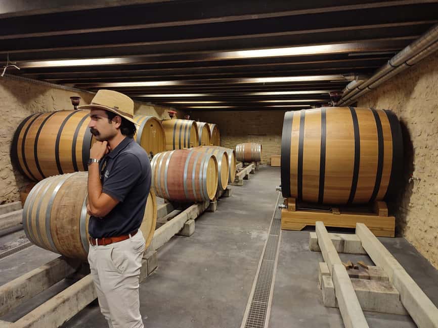 From Avignon: Châteauneuf du Pape Half-Day Wine Tour - Price and Value: Is $112 Worth It for a Half-Day?