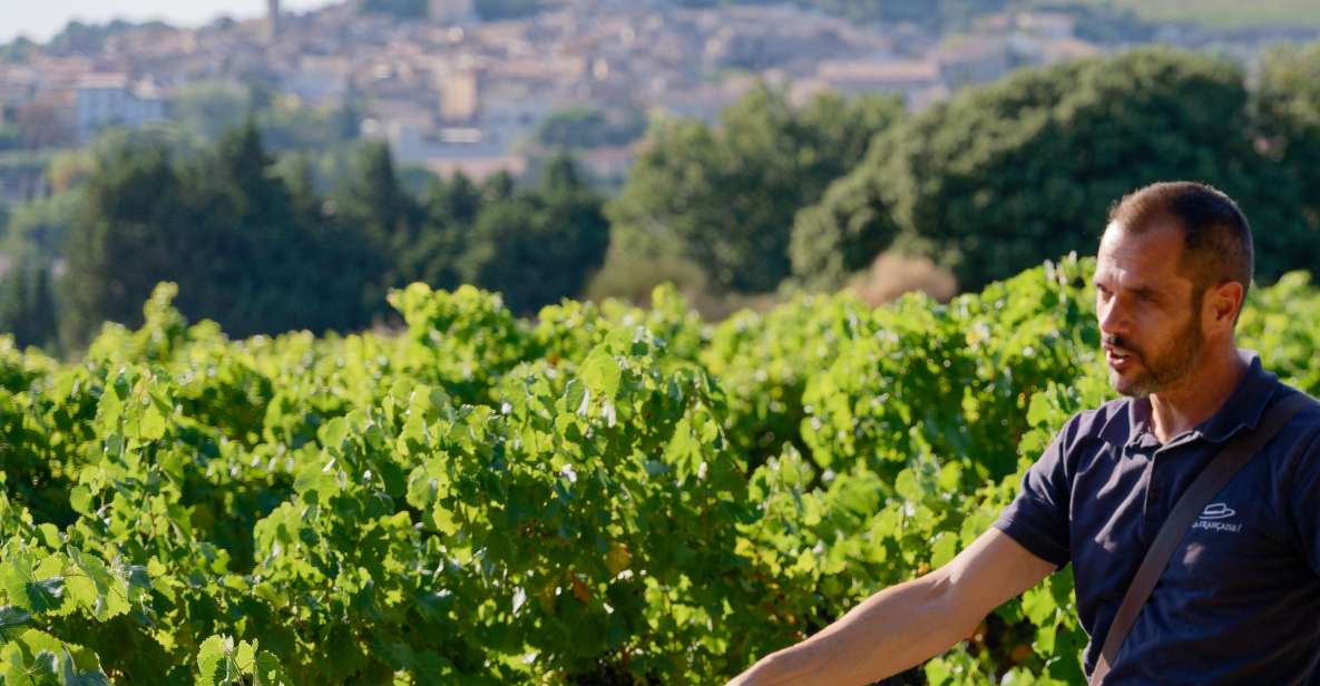 From Avignon: Châteauneuf du Pape Half-Day Wine Tour - The Scenic Rhône Valley Drive and the Pope’s Ruins View