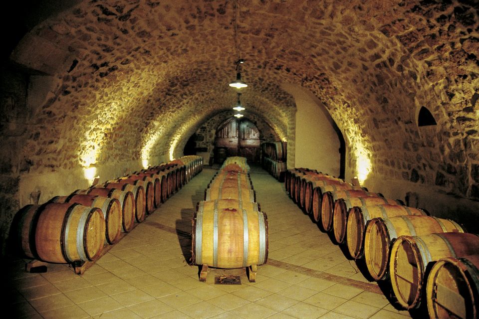 From Avignon: Half-Day Great Vineyards Tour - The tastings: 2 or 3 stops, plus real variety in the glass