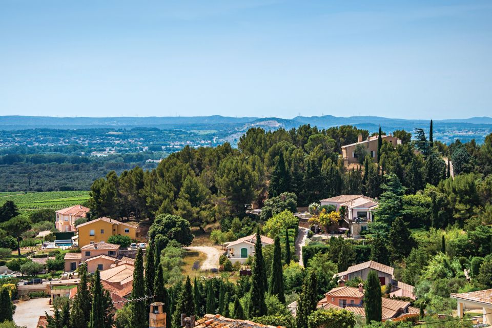From Avignon: Half-Day Great Vineyards Tour - Who this tour suits best (and who might skip it)