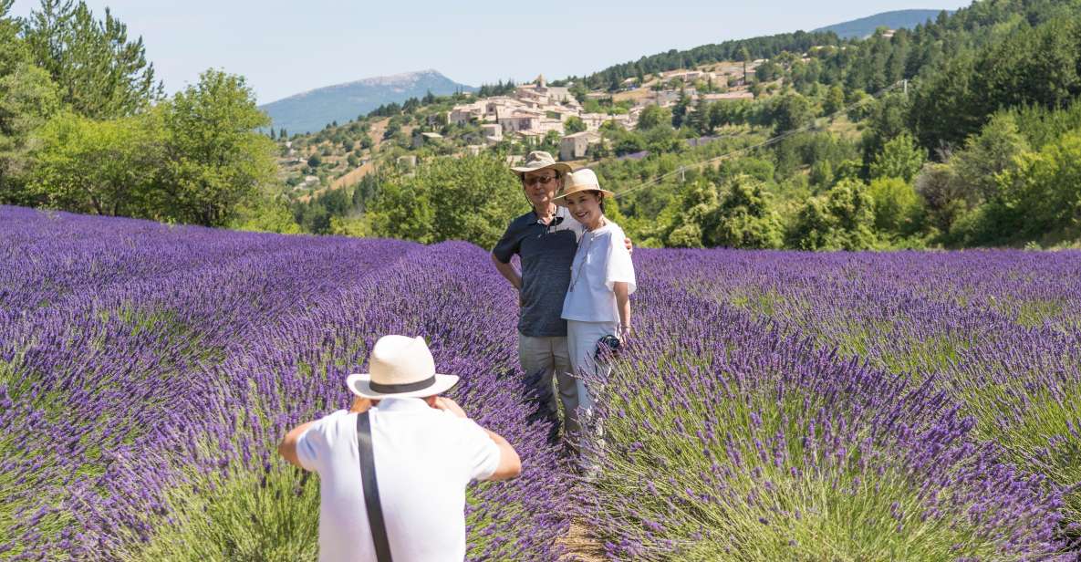 From Avignon: Half-Day Lavender Tour of Luberon - Why This Half-Day Lavender Trip Works from Avignon